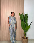 Coordinato Aladin